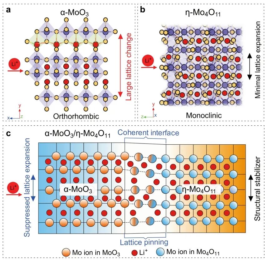 夏晖/翟腾/苏东Nature子刊：通过具有稳定 Li+ 嵌入的相干界面在 MoO3 中进行晶格钉扎