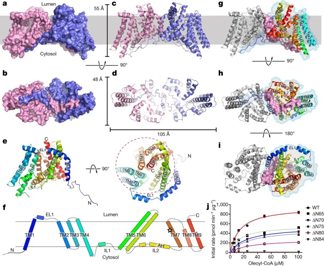 霸气，继Science背靠背，颜宁又两篇Nature背靠背，争取Cell背靠背……