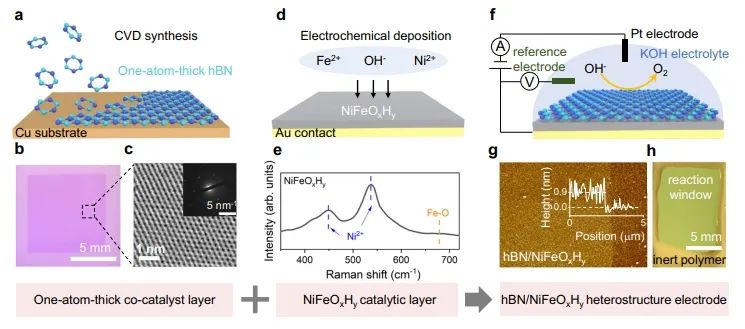​厦大/北航Nature子刊：引入单原子厚度hBN，显著提升OER活性