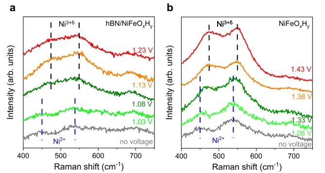 ​厦大/北航Nature子刊：引入单原子厚度hBN，显著提升OER活性