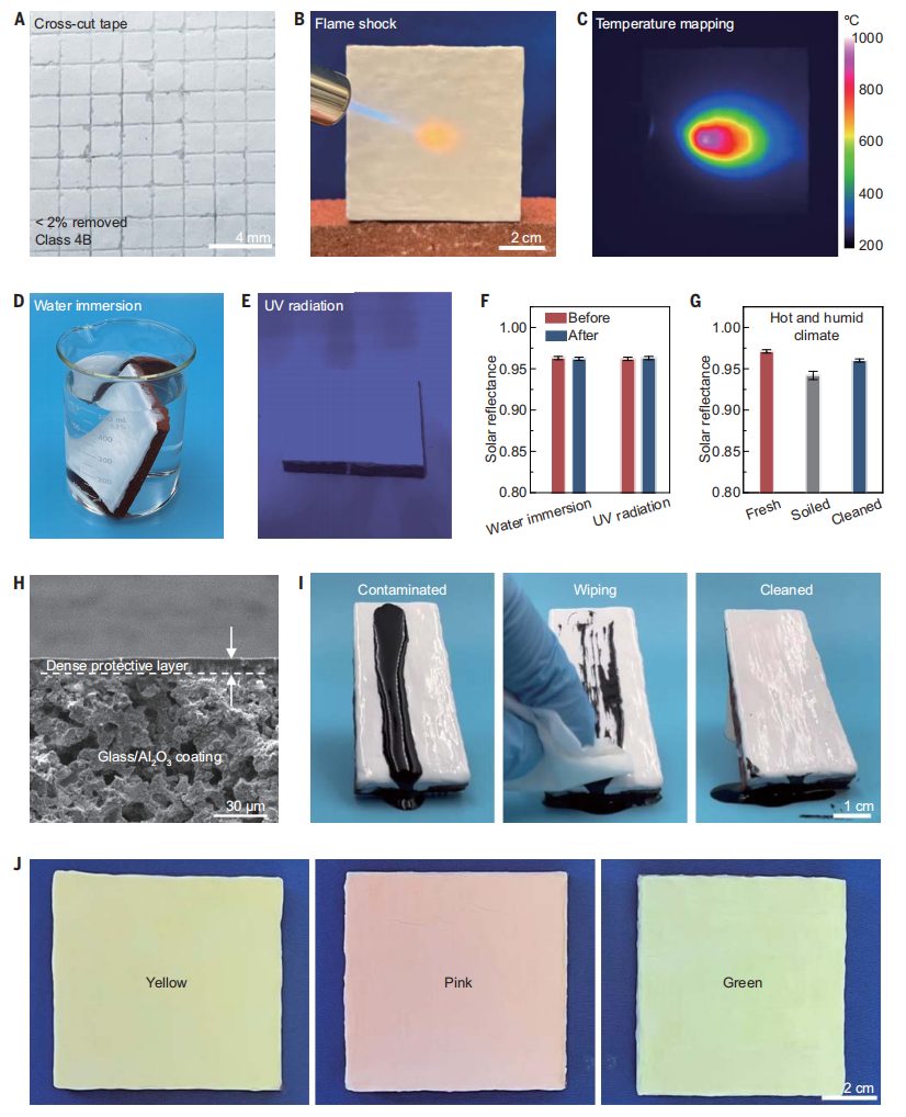 胡良兵教授最新Science，五年11篇正刊！