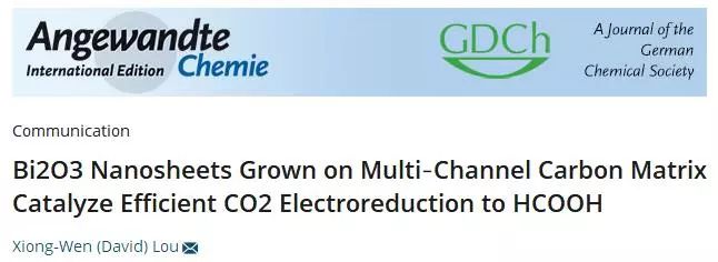 南洋理工大学楼雄文Angew. Chem.氧化铋复合材料高效电催化CO2RR