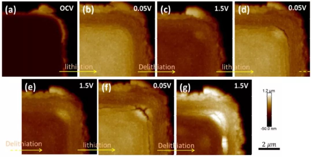 【案例解析】电池研究中的AFM表征：电化学反应中的形貌变化、纳米力学和电学性能