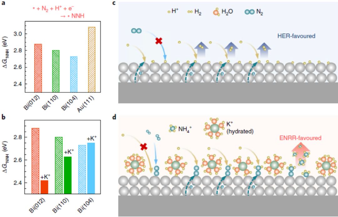 北大Nature Catalysis：突破已有极限，常温常压高选择性高速率电催化合成氨