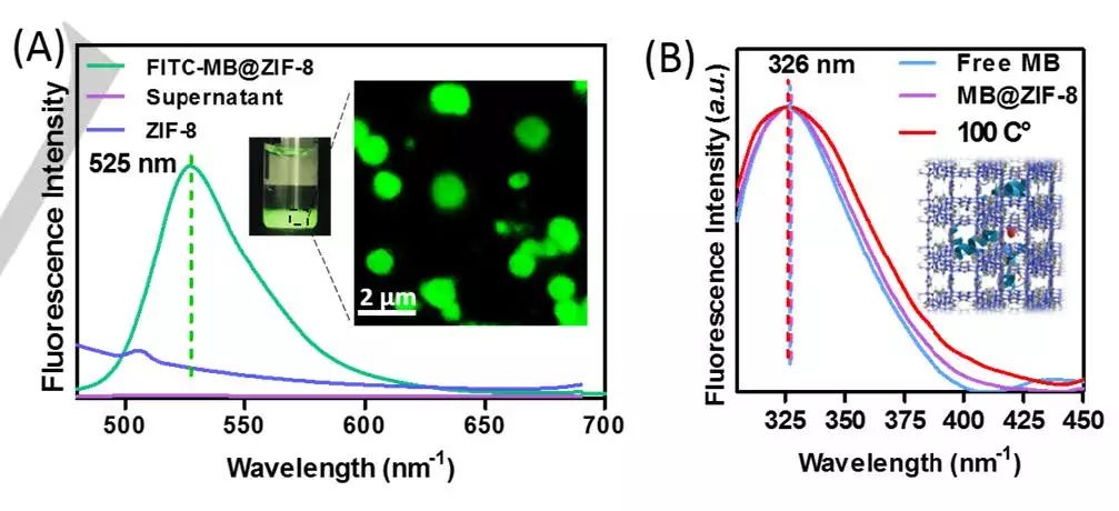 中山大学Angew. 玩转MOFs，快速高效封装酶和蛋白质