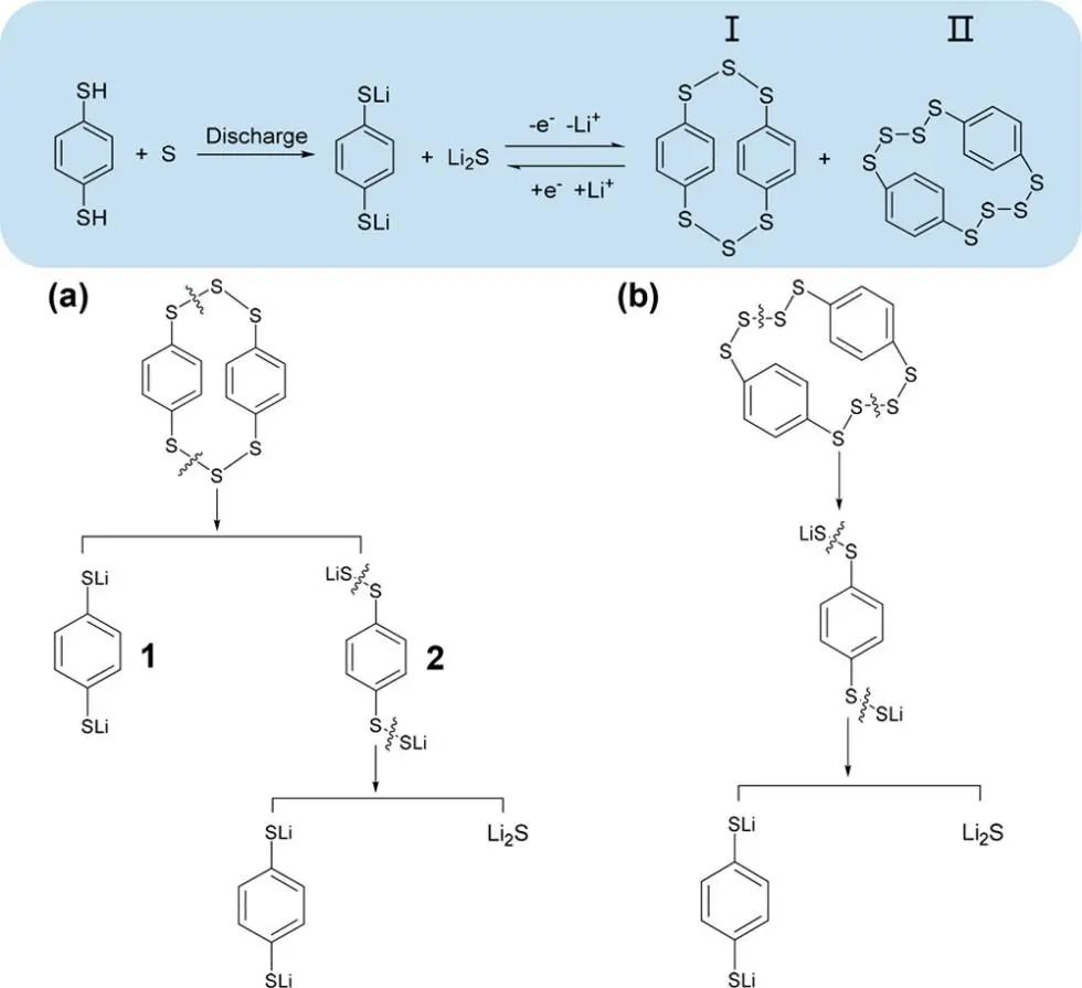 郑大付永柱/郭玮JACS: 用于改善可充电锂硫电池界面化学的异构有机二硫醇添加剂