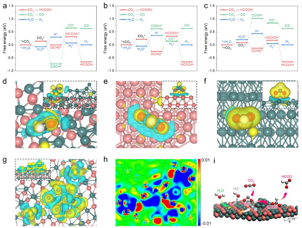 陈维&夏川ACS Catalysis: 原位动态构建Cu2SnS3催化剂用于电催化CO2还原