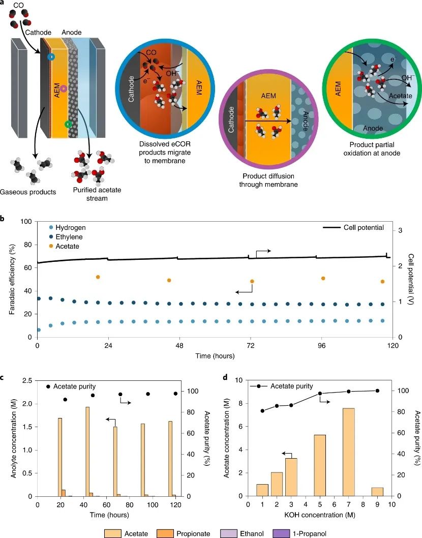 焦锋教授团队，最新Nature Catalysis！