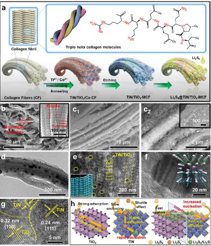 AFM：基于拓扑化学自氮化实现的异质结构用于可充锂化硅-多硫化物全电池