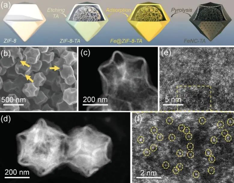 催化顶刊集锦：Angew./JACS/AFM/ACS Catal./Small等最新成果