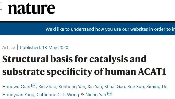 霸气，继Science背靠背，颜宁又两篇Nature背靠背，争取Cell背靠背……