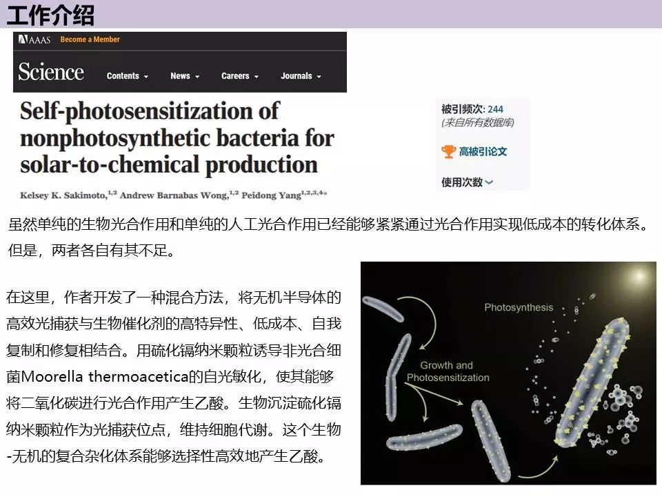 人物专谈—加州大学杨培东教授！经验分享+经典工作介绍！