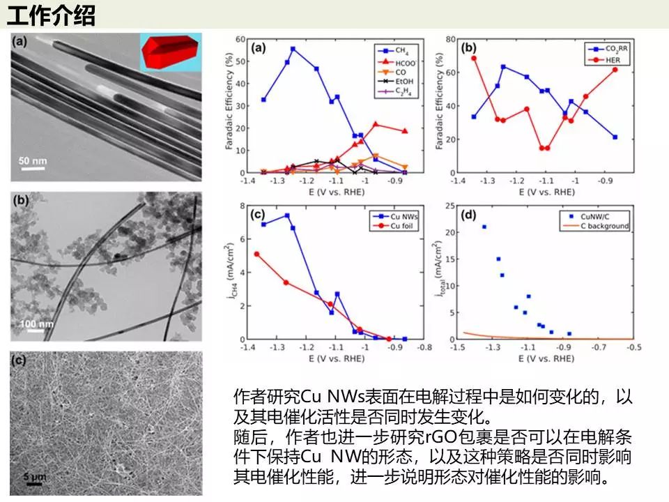 人物专谈—加州大学杨培东教授！经验分享+经典工作介绍！