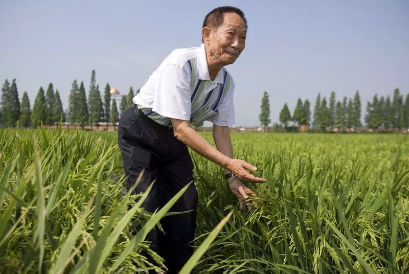 Nature国庆特别评论—点赞中国：科学如何成就超级大国