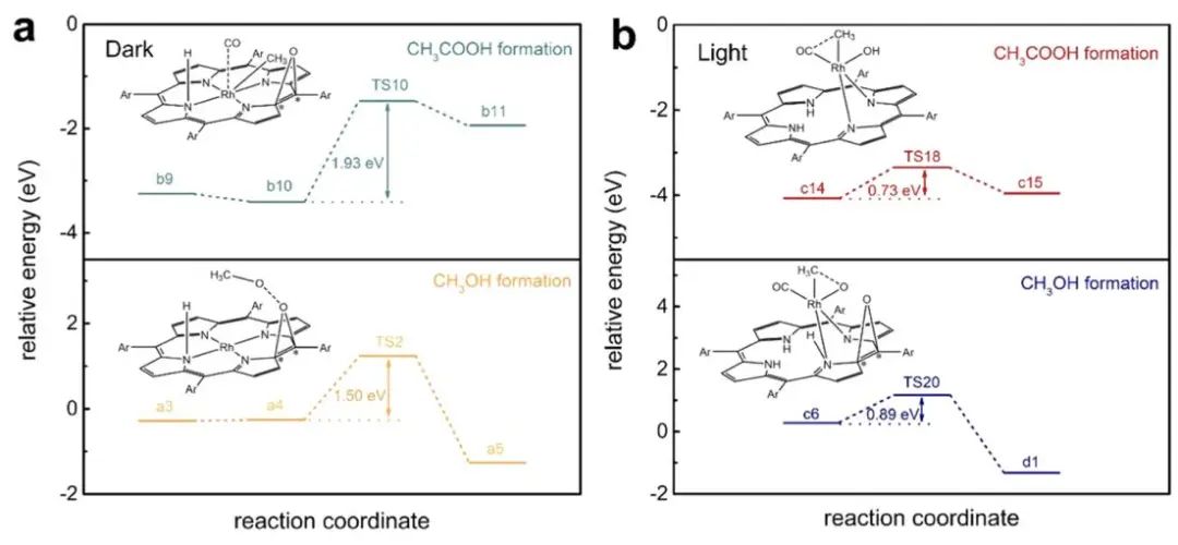 【计算+实验】8篇顶刊速递：Nature子刊、JACS、AEM、AFM、ACS Catalysis等！