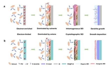 孙靖宇/陶新永AM：富含无机物的SEI助力无枝晶高倍率钾金属电池