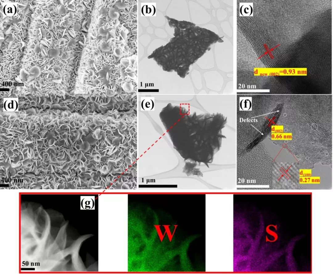 【动态】澳门大学潘晖教授团队：缺陷工程增强WS2纳米片电催化析氢活性