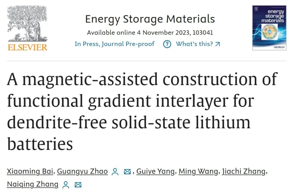 ​哈工大张乃庆/赵光宇EnSM：磁辅助构建功能梯度界面实现无枝晶固态锂电池