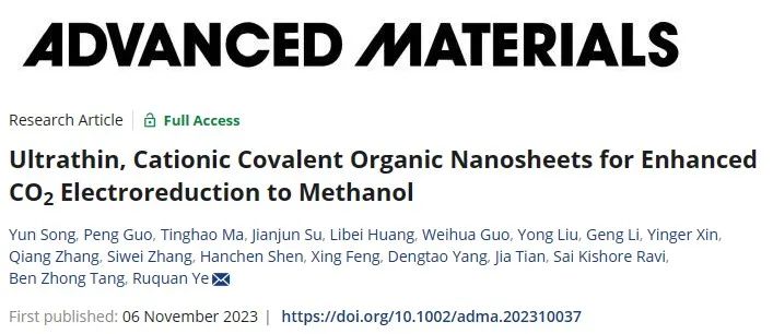 ​叶汝全/田佳AM：Co基纳米片：高效电催化CO2RR制甲醇