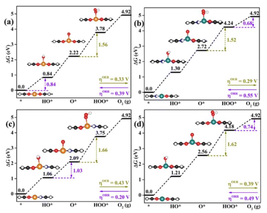 【纯计算】Inorg. Chem. Front.：二维导电金属-有机框架作为析氧和还原反应的高效电催化剂