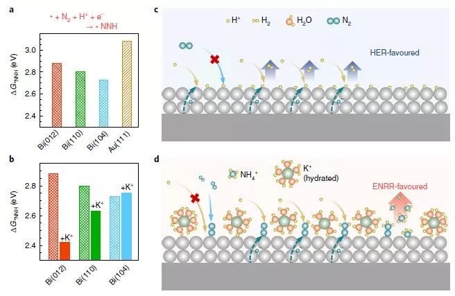 【顶刊】Nature Catalysis：铋催化剂和K+协同提高电化学氮还原反应选择性和活性