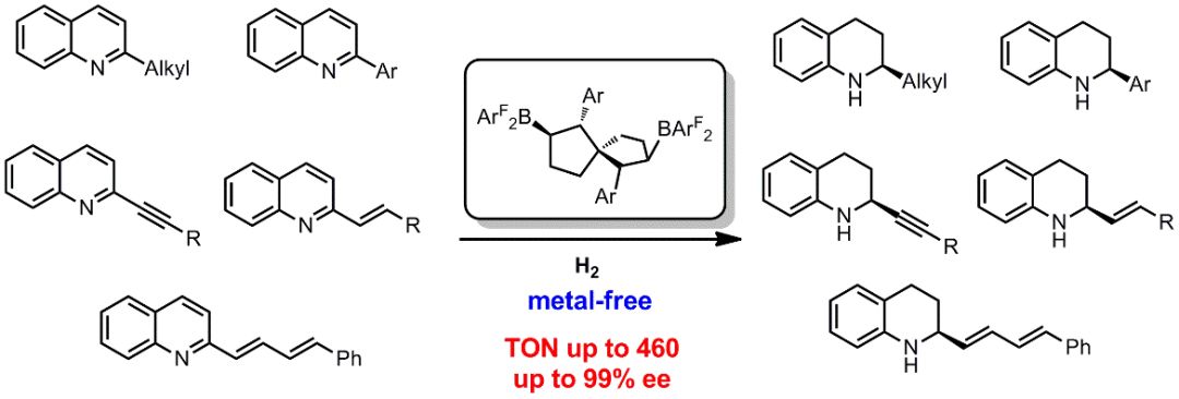南开王晓晨Angew. 手性螺环双环双硼催化喹啉不对称氢化反应