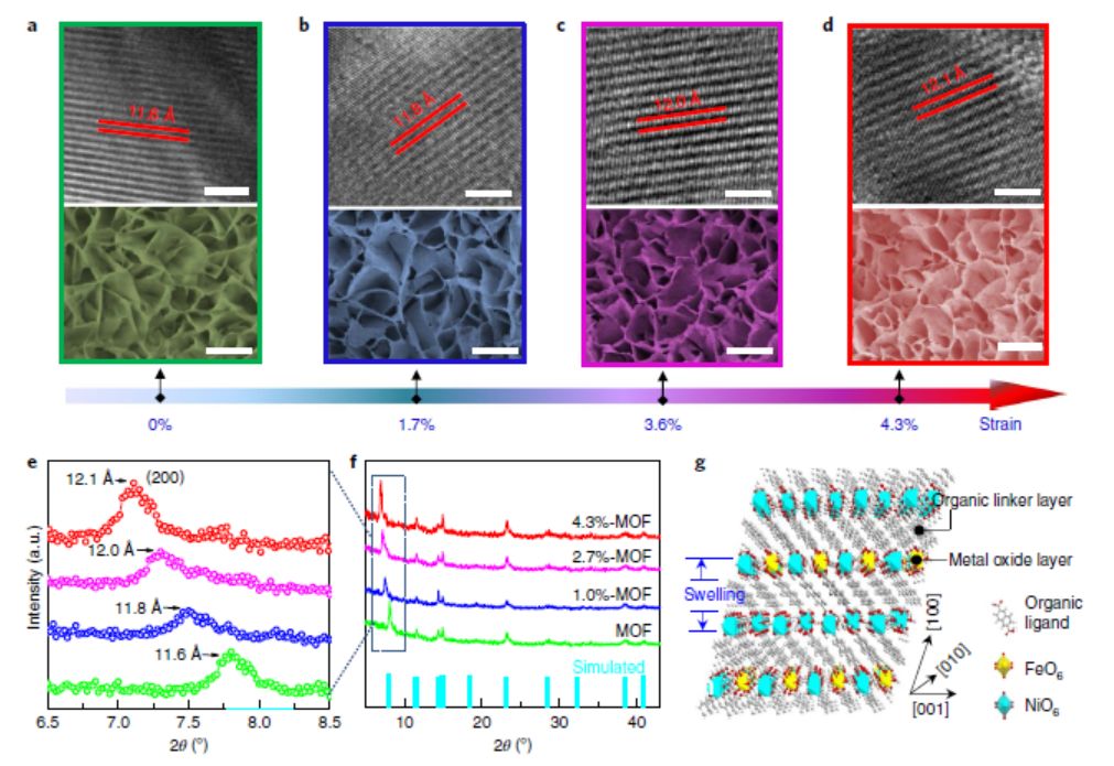 刘庆华团队Nature Energy ：晶格应变TM-MOF高效双功能电催化剂