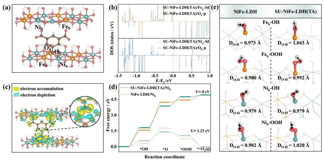 Nature子刊：三聚酸修饰的亚尺寸镍铁-层状双氢氧化物纳米片催化剂增强水氧化