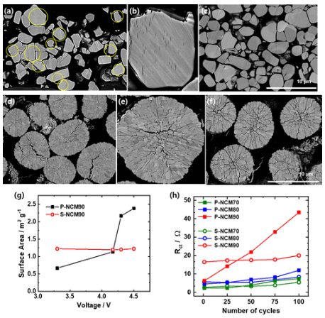 ACS Energy Lett.：富镍单晶NCM正极的容量衰减机制