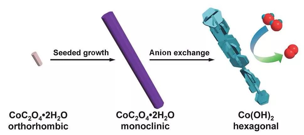 陕西师范大学张伟＆曹睿：新颖Co(OH)2多级结构材料用于电催化水氧化反应