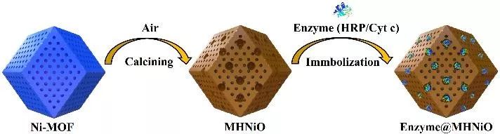 【动态】陕师大蒋育澄教授课题组：基于MOFs设计构筑多级孔NiO制备高效、稳定的纳米酶反应器