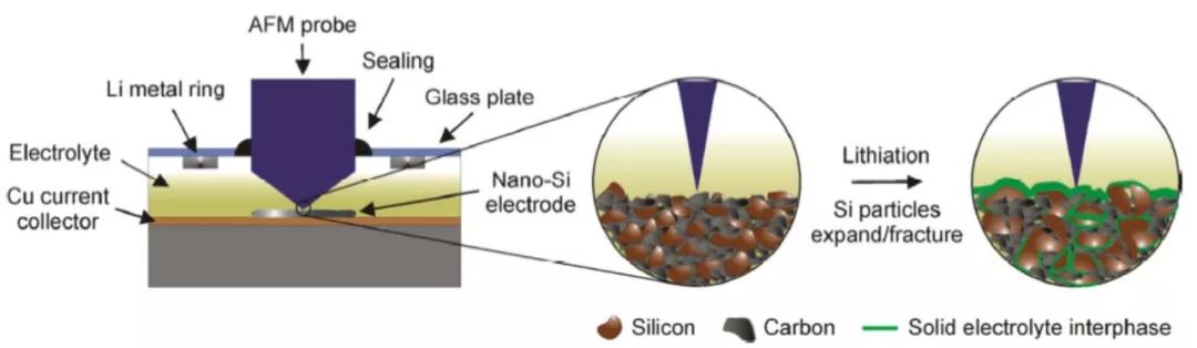 【案例解析】电池研究中的AFM表征：电化学反应中的形貌变化、纳米力学和电学性能