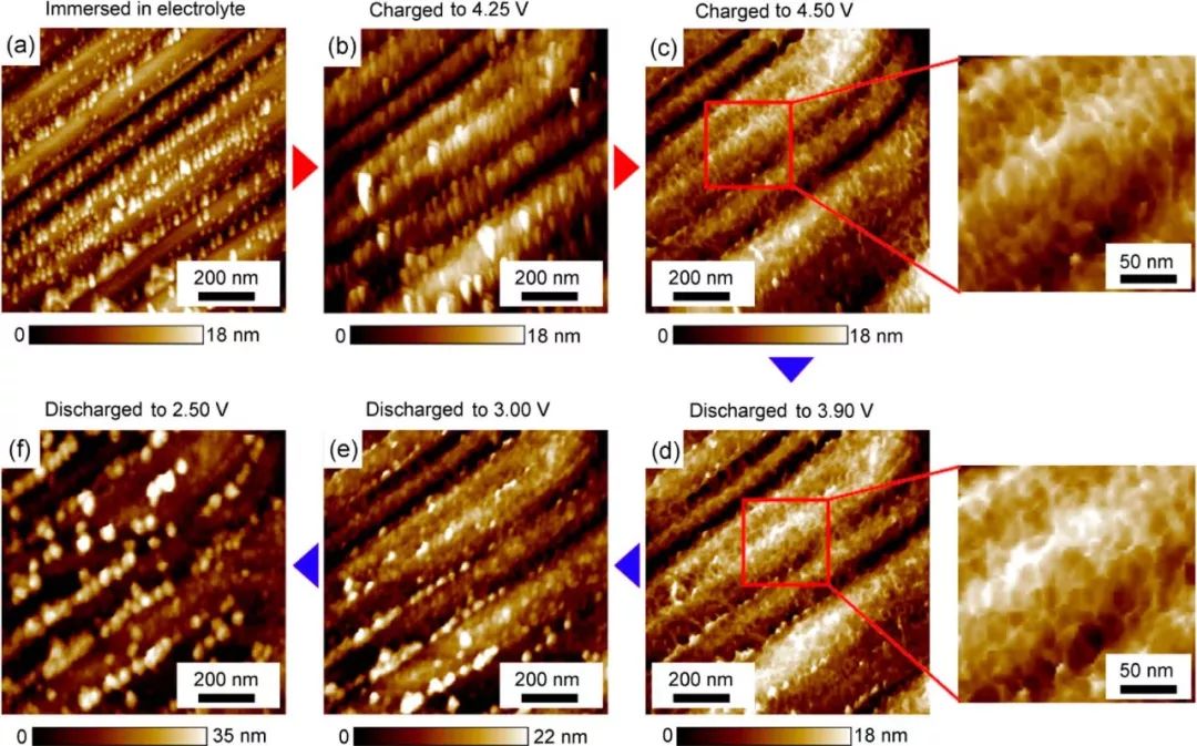 【案例解析】电池研究中的AFM表征：电化学反应中的形貌变化、纳米力学和电学性能