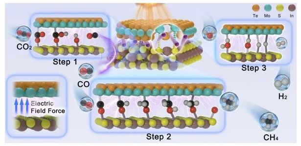 ​中山大学NML：Mo-S桥接位点提高量子效率，实现高效光催化CO2还原