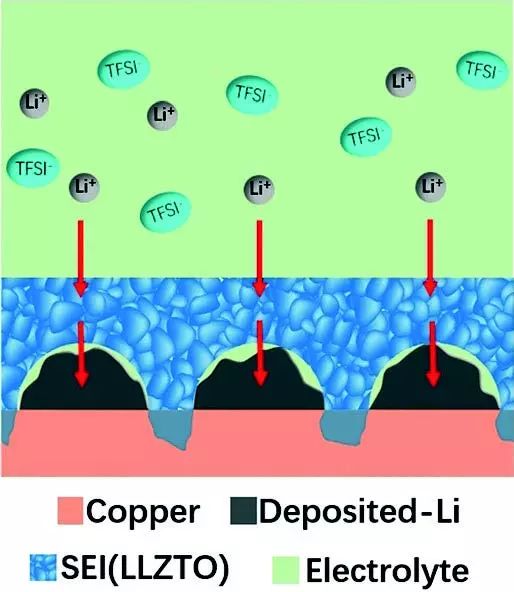夏永姚＆王永刚Angew. 三维泡沫铜上固定人工SEI膜，长寿命/高倍率/大沉积量/高库伦效率金属锂负极