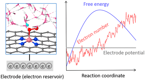 UT Austin刘远越课题组JACS：终于把ORR选择性搞清楚啦！