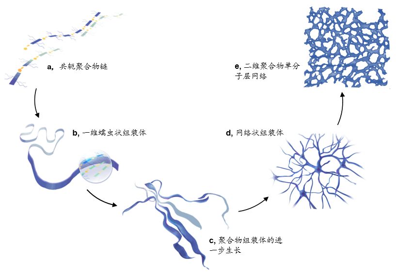 北大一篇充满艺术感的AM，裴坚团队实现聚合物单分子层最高电子迁移率