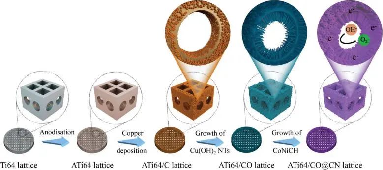 南科大Adv. Sci.: 3D打印立大功！打印出Ti64基晶格电催化剂用于稳定析氧