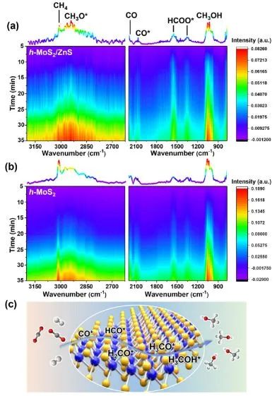 ​曾华淳ACS Catalysis: 边缘受限的少层MoS2纳米盒用于CO2高效加氢制甲醇