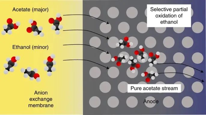 Nature Catalysis！一氧化碳电还原耦合阳极氧化提高乙酸的选择性