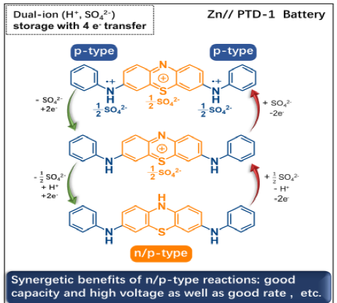 复旦大学王永刚Angew：n/p型吩噻嗪有机支架的分子定制助力锌电池