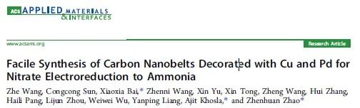 ACS Appl. Mater. Interfaces：铜和钯修饰的碳纳米带用于催化硝酸盐电还原合成氨
