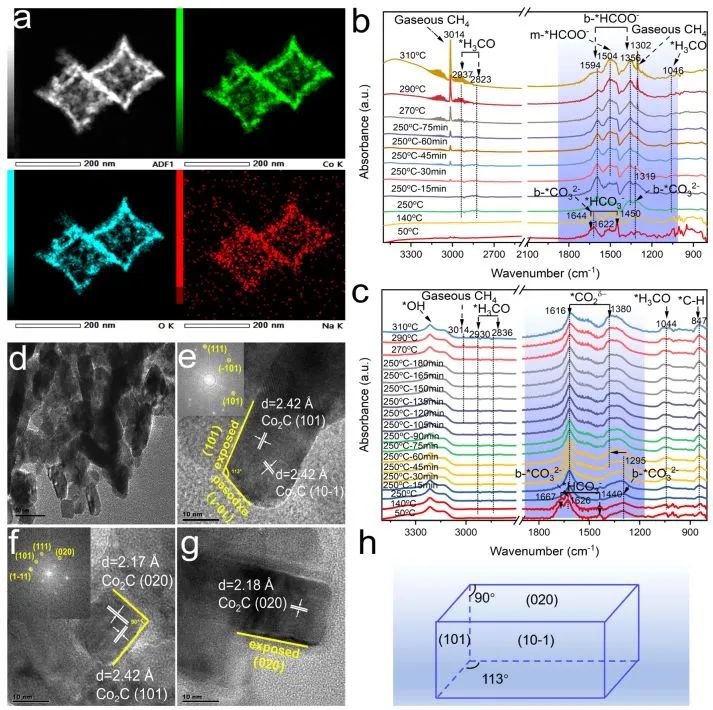 催化顶刊集锦：Angew./JACS/AFM/ACS Catal./Small等最新成果