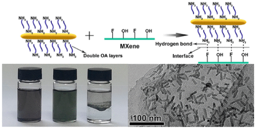 闫俊/王倩ACS Nano：多功能界面自组装Ti3C2Tx MXene基复合材料实现优异的锂和钠存储