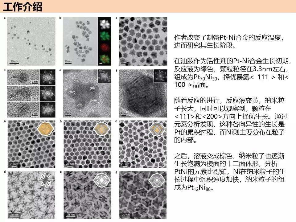 人物专谈—加州大学杨培东教授！经验分享+经典工作介绍！