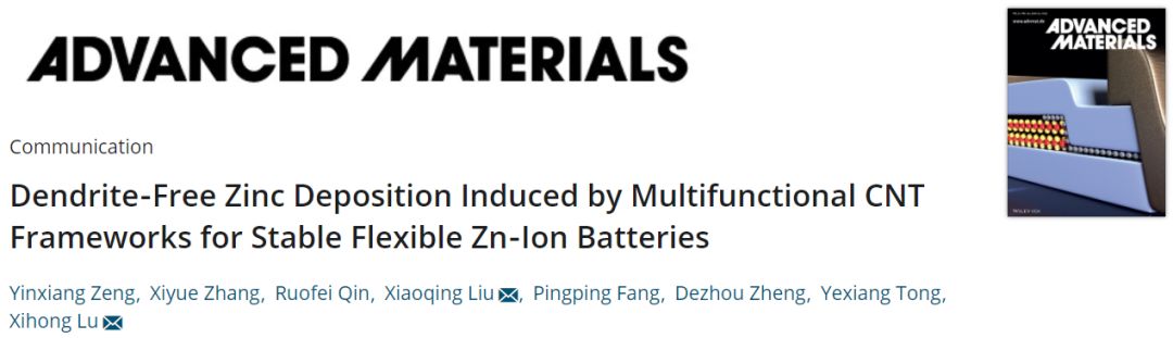 中山大学AM：多功能柔性3D碳纳米管（CNT）作为锌沉积/溶解骨架实现无树枝化锌负极