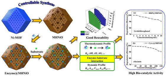 【动态】陕师大蒋育澄教授课题组：基于MOFs设计构筑多级孔NiO制备高效、稳定的纳米酶反应器