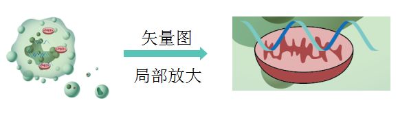 【制图干货】给SCI论文配图时，矢量图和位图有什么区别？