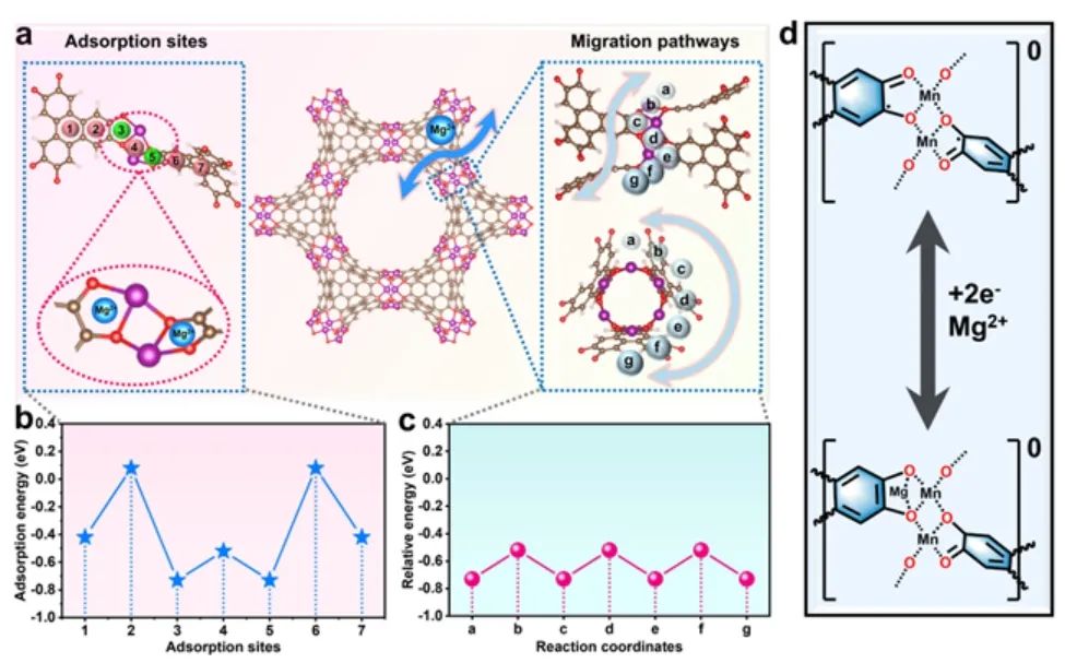 ​苏大/南师大AM：三维 π−d 共轭配位聚合物实现超长寿命镁离子存储