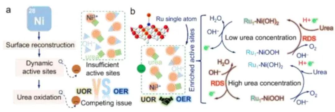 何冠杰/麦立强EES：Ru1-Ni(OH)2助力实际条件下尿素氧化反应！